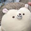 yoobtime