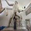 irene.politi