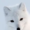 unicornslimejj