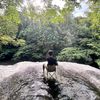 braven_utex19