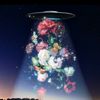 alienzo_13