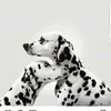 salwa.soso123