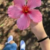 lylia_mantaray