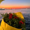 beforesunshine2