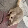 theheartoflizprivate