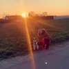 neggobolzi