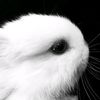 mxr_vania
