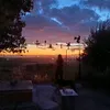 tani_.ana