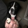 jakecoughlin6499
