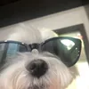 nikoru_0.0