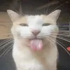 uuussseeerrr_02