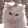 rufi.pink