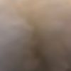 onlyonhere4fyp