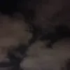 sonja___6