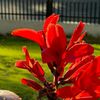 carol_07_04