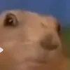 iliasjegamer