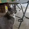 laiblu