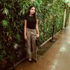 nicol_gca