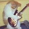 breezyreaperr