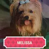 melissa_yorkshire_ly