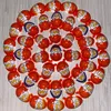 xdmeerschweinchen2.0