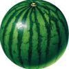 valkfart