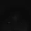 sibizzle2