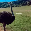 whxmrtn