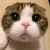 yummimi__