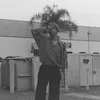 sxfibts