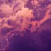 lilycoyle8