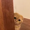 sewi_sur1
