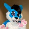 Skye cabbit