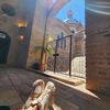 ingmp7