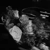 a.xo002