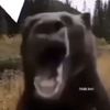 skateralpha