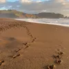 michelleslz160816