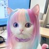 mikasachan91