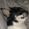 bettybetty49