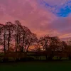 elz_022