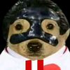 franco_olivos