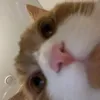 joonsringfingers