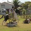 horsegirl0926