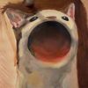 kiiwoalaaa