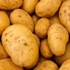 isa_ys_potato