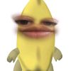frapedeoreoo