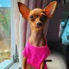 minhabloguerinha