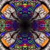 austin_gardner06