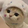 stanbangtwicee