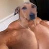 lagx100